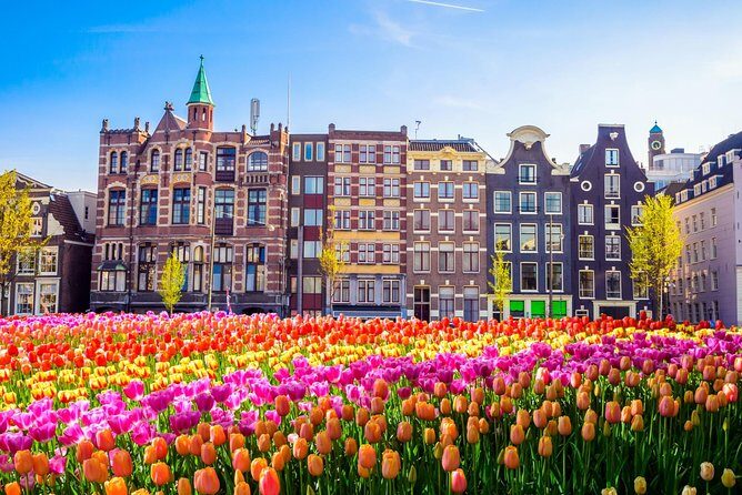 Amsterdam Day Trip from Brussels - Guide experience: English narration quality can vary, so choose wisely