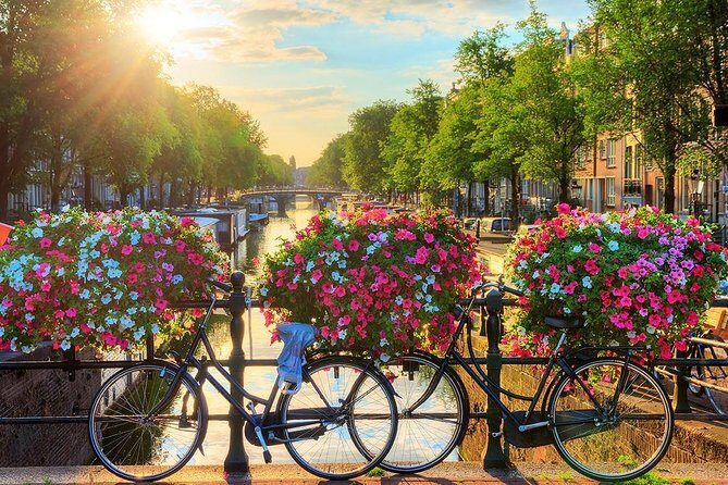 Amsterdam Day Trip from Brussels - The main trade-offs: timing, crowds, and back-to-bus navigation