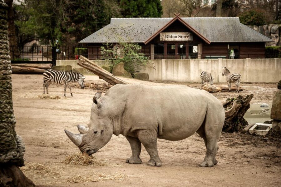 Antwerp: ZOO Entry Ticket - The zoo layout: how to structure your day on 10.5 hectares