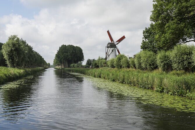 BikeTour Bruges & Damme in Spanish and English - Crossing polders on the way back: corn fields, vineyards, and quiet cycling