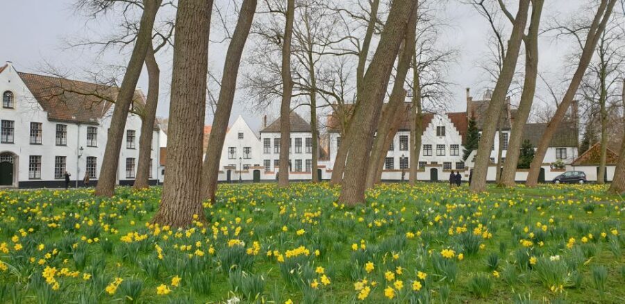 Bruges: 2.5-Hr Walking Tour from train station to Markt - Markt Square and the Belfry: the civic heart you can orient your trip around