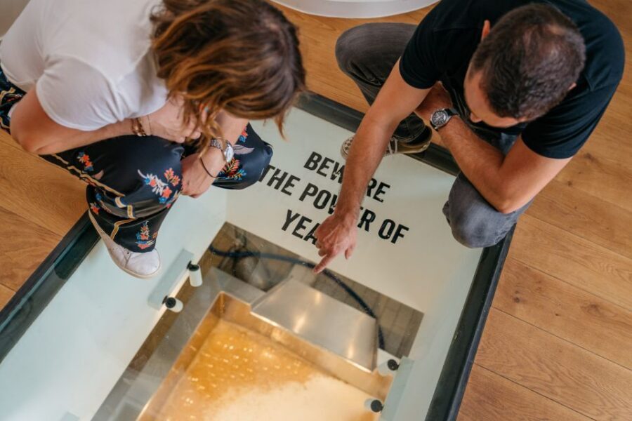 Bruges: Bourgogne des Flandres Brewery and Distillery Visit - What this Bruges brewery-and-distillery visit feels like