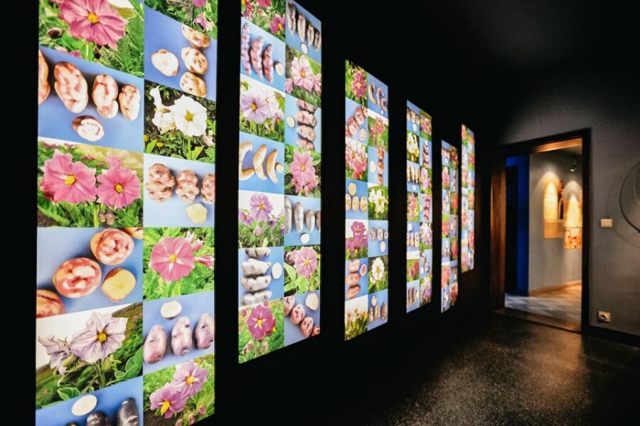Bruges: Frietmuseum Entry Ticket - Key things I think you’ll care about
