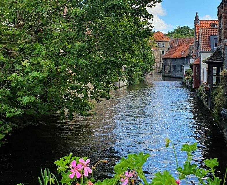 Bruges: Small Group Boat Cruise and Guided Walking Tour - The Canal Cruise: Swans, Ivy Facades, and Bridge Views