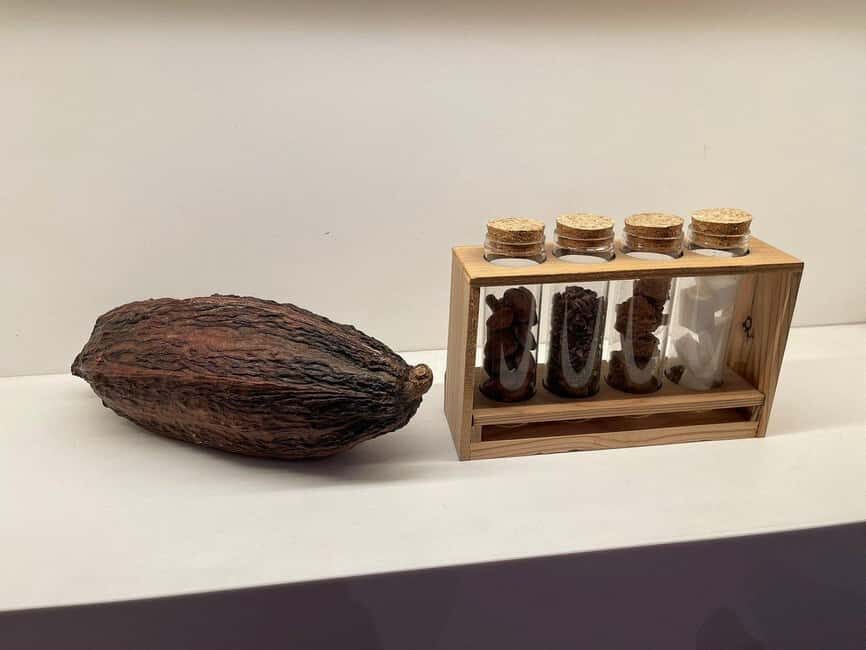 Brussels: Chocolate Appreciation and Tasting Walking Tour - Meeting Inside the Royal Galleries: Where the Tour Begins