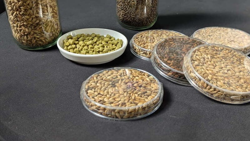 Brussels: micro brewery & distillery tour + beer tasting - The 16cl Beer Tasting: How to Get the Most from Two Glasses