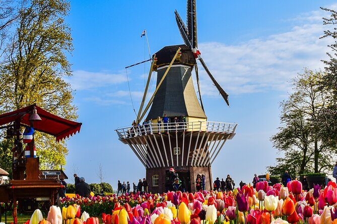 Delft and Keukenhof Gardens Tour from Brussels - The Brussels Morning: Meeting Point, Start Time, and What to Expect