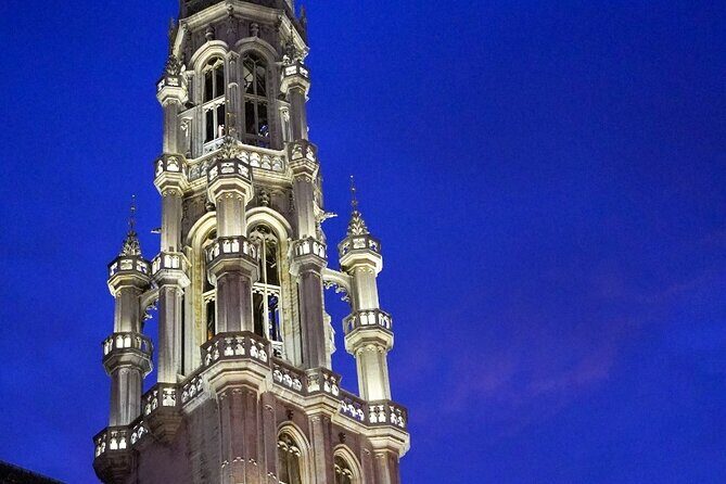Evening Tour: The Dark Side of Brussels - Should you book this Dark Side of Brussels tour?