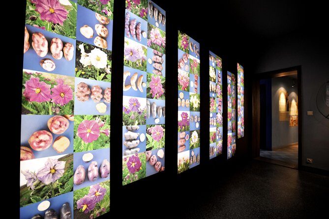 Frietmuseum Entrance Ticket - Timing and what to pair it with in Bruges