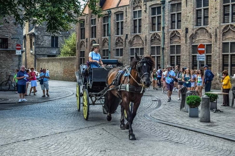 From Amsterdam: Private Sightseeing Tour to Bruges - Getting from Amsterdam to Bruges: comfort on a long drive