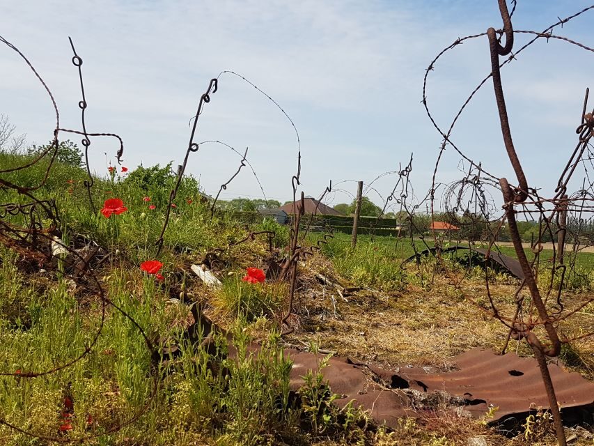 From Bruges: Great War Flanders Fields Minibus Tour w/ Lunch - Value for Money: What $130 Buys in a 9-Hour, Guided WWI Day