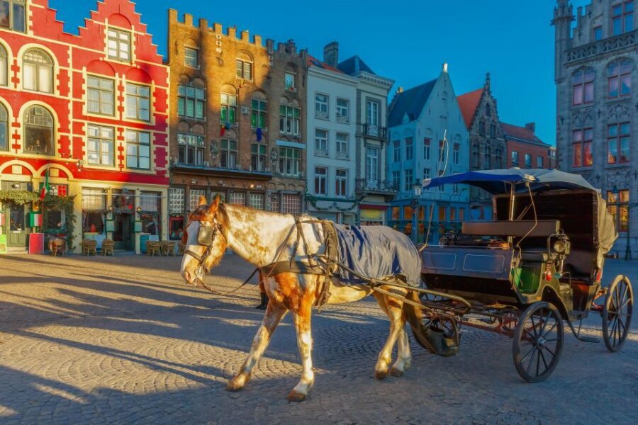 From Paris: Day Trip to Bruges with Optional Seasonal Cruise - Key highlights you’ll actually feel during the day
