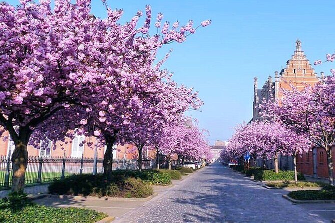 Private Hidden Gems Walking Tour in Ghent - Should you book this private Ghent walking tour?