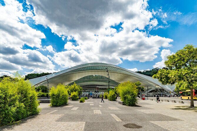 Small Group Liège to Aachen to Maastricht Border Crossing Tour - Liège-Guillemins Station: Calatrava’s train cathedral