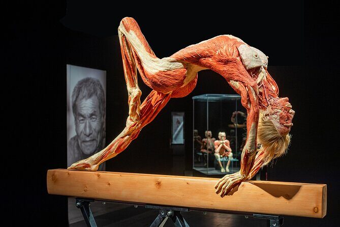 Ticket Expo Body Worlds in Bruges, Belgium - Where You’ll Go: Oud Sint-Jan, Near Bruges’ Main Spots